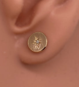 14K Yellow Gold Disc Diamond Earrings