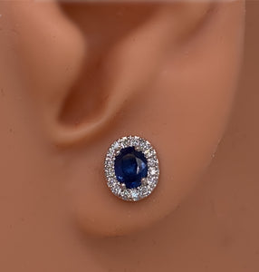 Sapphire and Diamond Halo Earring in 14K White Gold